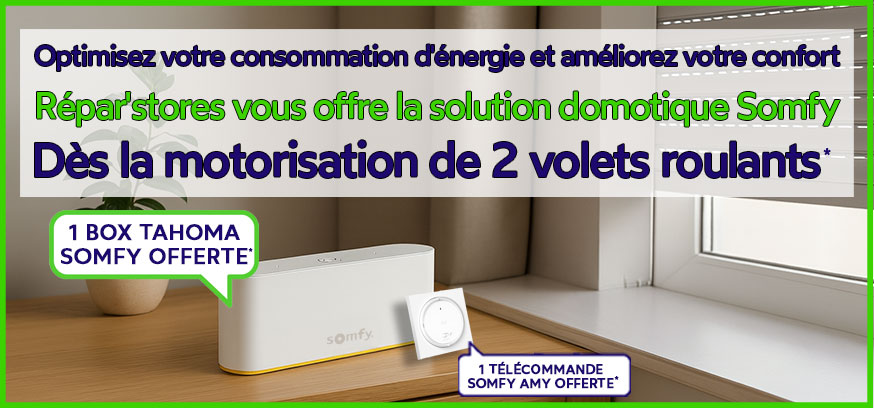 Profitez de la solution domotique Somfy offerte dès 2 volets roulants motorisés*